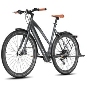 Fafrees F700W Elektrofahrrad mit 36V 10Ah Akku, 9-Gang
