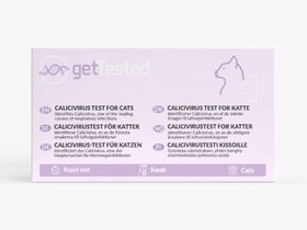 GetTested Calicivirus-Test für Katzen