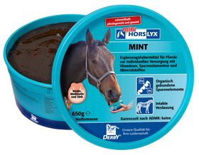 Derby HORSLYX Leckmasse Mint