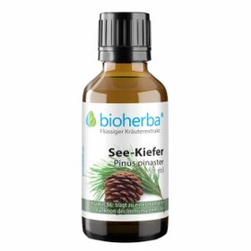Bioherba See-Kiefer Pinus pinaster Tropfen Tinktur Extrakt