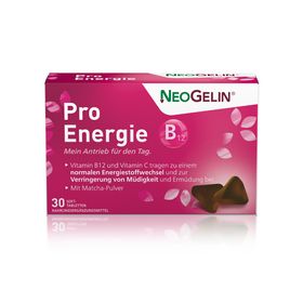NeoGelin Pro Energie