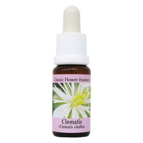 PHI Essences - Clematis Bachblüte Nr. 9