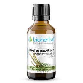 Kiefernspitzen Pinus sylvestris L. Tropfen Tinktur 50 ml PZN 18217504