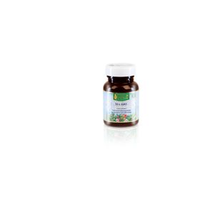 Maharishi Ayurveda - MA 1682