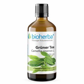 Bioherba Grüner Tee Camellia sinensis L. Tropfen Tinktur