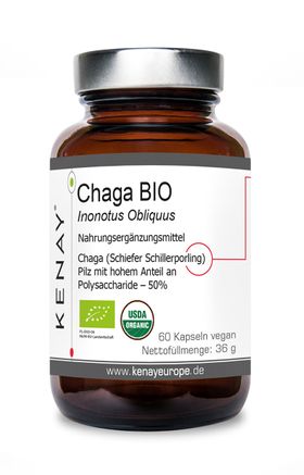 CHAGA BIO Inonotus obliquus | KENAY®