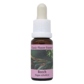 PHI Essences - Beech Bachblüte Nr. 3
