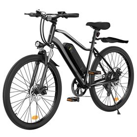 iScooter EB3 Elektrofahrrad mit 36V 10,4Ah Akku