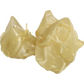 Schecker - Kauschuhe