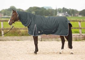 Harry`s Horse Outdoordecke Thor