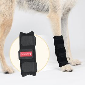 Herzenstier Karpalgelenksbandage Neopren für Hunde & Katzen