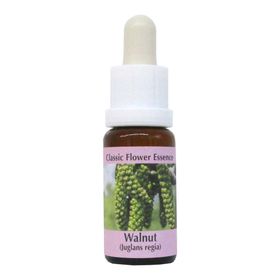PHI Essences - Walnut Bachblüte Nr. 33