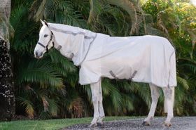 Horseware Fliegendecke Amigo Integrated