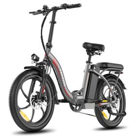 Fafrees F20+ Faltbares Elektrofahrrad mit 36V 20Ah Akku