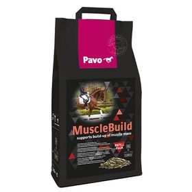 Pavo Muscle Build Nachfüllpack