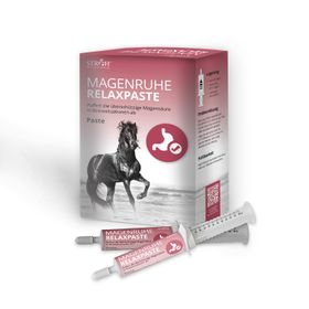 STRÖH Magenruhe Relaxpaste 9er Pack