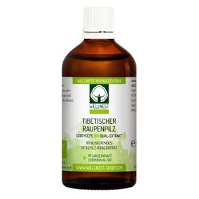 Bio Cordyceps Dual-Extrakt (Raupenpilz) Vitalpilz Tinktur - Wellnest Pflanzenkraft Urtinktur