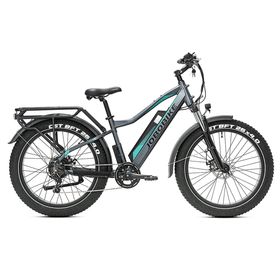 JOBOBIKE Robin Elektrofahrrad mit 48V13AH Akku