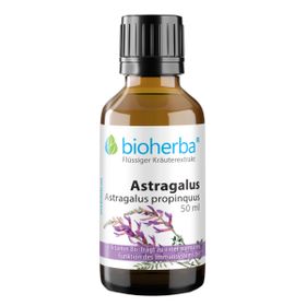 Astragalus Astragalus propinquus Tropfen Tinktur 50 ml PZN 18217958