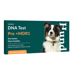 DNA Test Rassebestimmung + MDR1 Hund