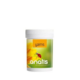 Anatis Yams
