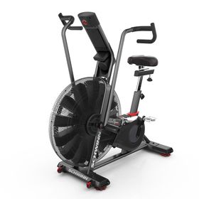 Schwinn Airdyne Bike AD8