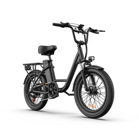 URLIFE E20 Pendler-Elektrofahrrad, 250-W-Motor, 48-V-13-Ah-Akku