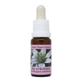 PHI Essences - Star of Betlehem Bachblüte Nr. 29