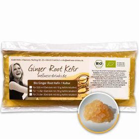 WELLNESS DRINKS Bio-Ginger Root Kefir mit vitalen Kefirkristallen