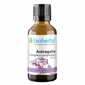 Bioherba Astragalus  Astragalus propinquus  Tropfen  Tinktur Extrakt