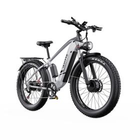 DUOTTS F26 Elektrofahrrad mit 48V 17,5AH Akku und zwei Motoren