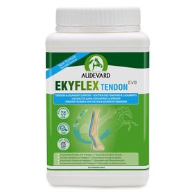 Audevard Ekyflex Tendon Evo für Pferde