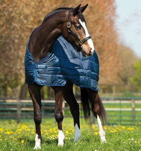 Horseware Unterdecke Liner