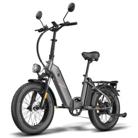 Fafrees FF20 Polar Elektro-Citybike mit zwei 48V 24Ah Akkus