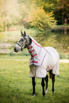 Horseware Rambo Protector Disc Front Fliegendecke