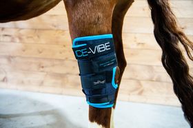 Horseware Ice-Vibe Therapiegamaschen Hock Wrap