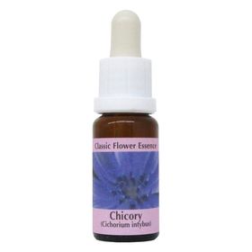 PHI Essences - Chicory Bachblüte Nr. 8