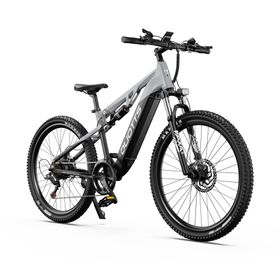 DUOTTS E29 Elektro-Mountainbike mit 48V 13,5Ah Akku, 27,5 Zoll
