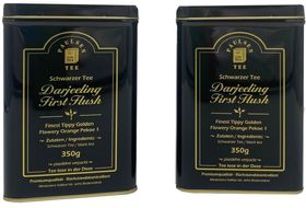 Paulsen Darjeeling First Flush in Teedose