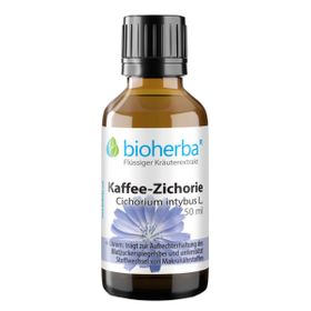 Bioherba Kaffee-Zichorie Cichorium intybus L. Tropfen Tinktur Extrakt