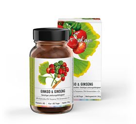 Sekoya Swiss - Ginkgo & Ginseng | Für das Gedächtnis