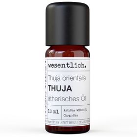 Thuja - ätherisches Öl von wesentlich.