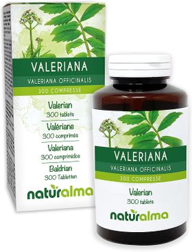 Baldrian (Valeriana officinalis) Wurzeln Naturalma