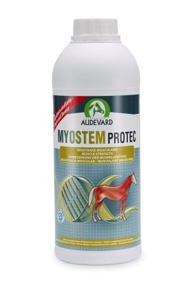Audevard Myostem Protec für Sportpferde