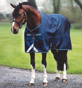 Horseware Amigo Bravo 12 Original Turnout  Lite