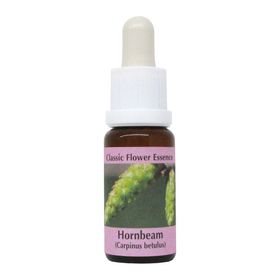 PHI Essences - Hornbeam Bachblüte Nr. 17