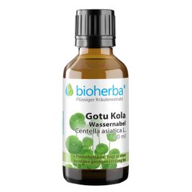 Gotu Kola Wassernabel Centella asiatica L. Tropfen Tinktur 50 ml PZN 17188120