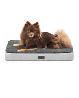 lionto orthopädisches Hundebett