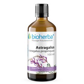 Bioherba Astragalus Astragalus propinquus Tropfen Tinktur