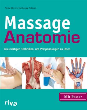 Massage Anatomie